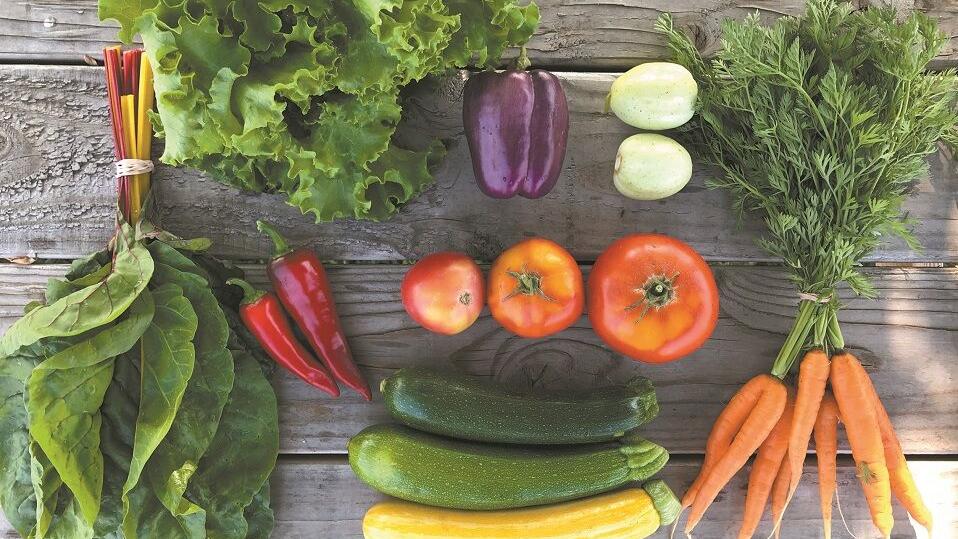 Klamath Grown to release printed food guide this spring